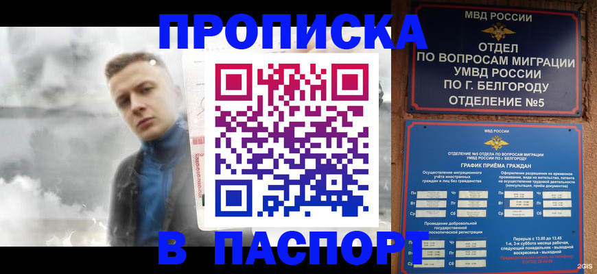 временная регистрация в Козельске